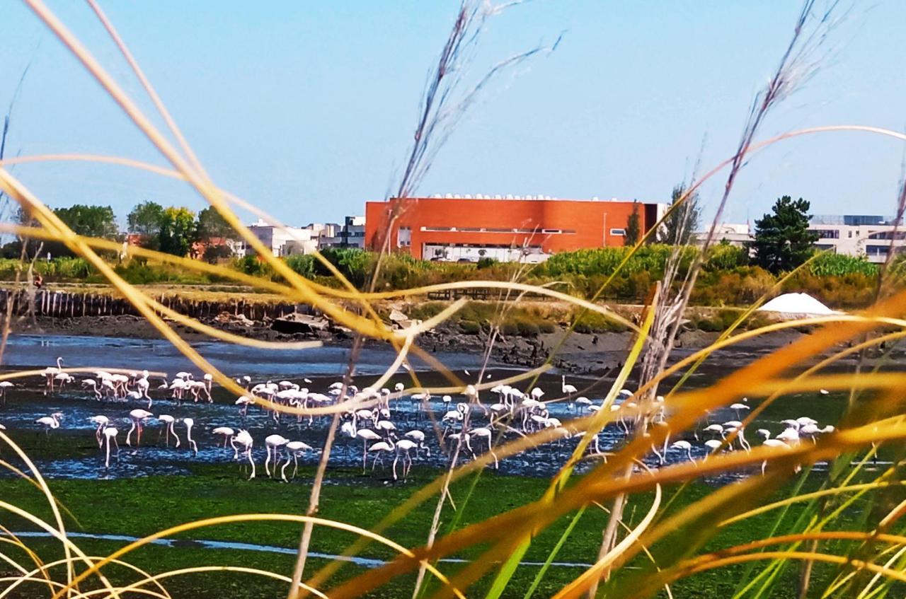 Aveiro, Ria E Arte Lägenhet Exteriör bild